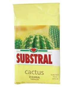 Substral zemlja za kaktuse 3 l