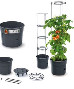 Tomato grower anthracite 29,5 cm