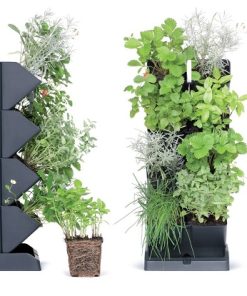 Vertikalni vrt Mini Cascade anthracit